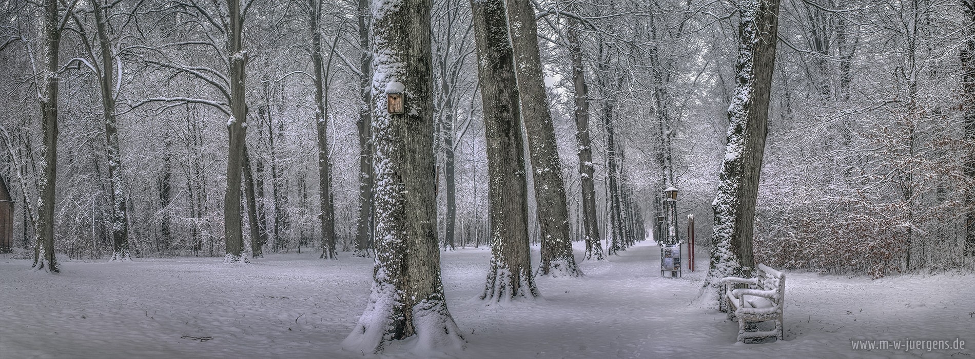 Manfred W. Jürgens Photography
