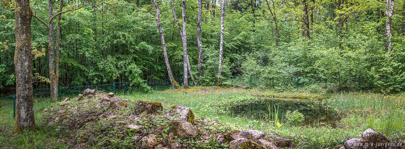 KfN München, Manfred W. Jürgens