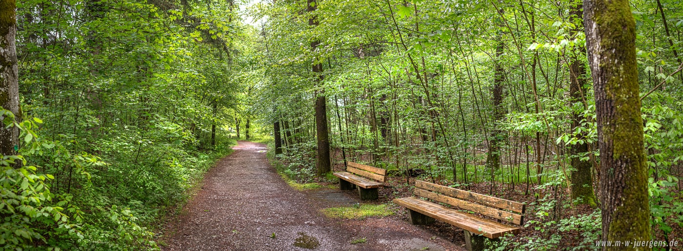 KfN München, Manfred W. Jürgens