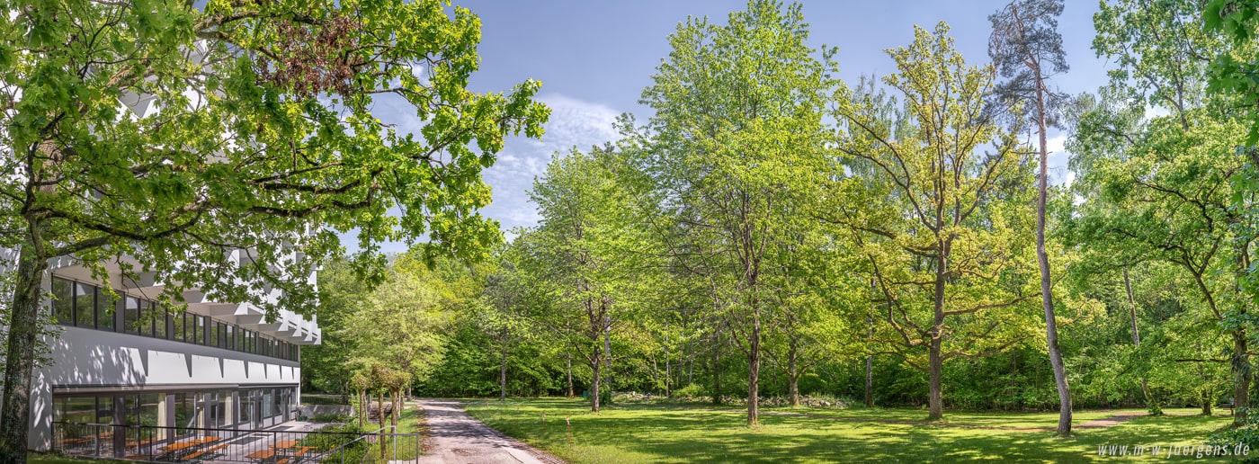 KfN München, Manfred W. Jürgens