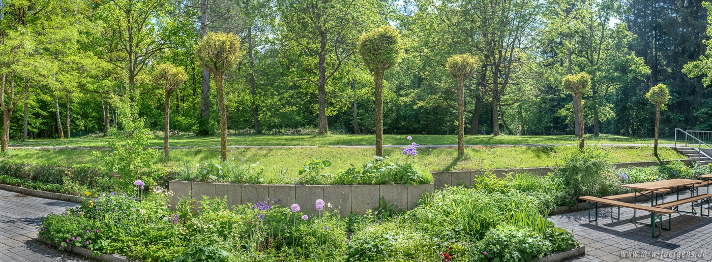 KfN München, Manfred W. Jürgens