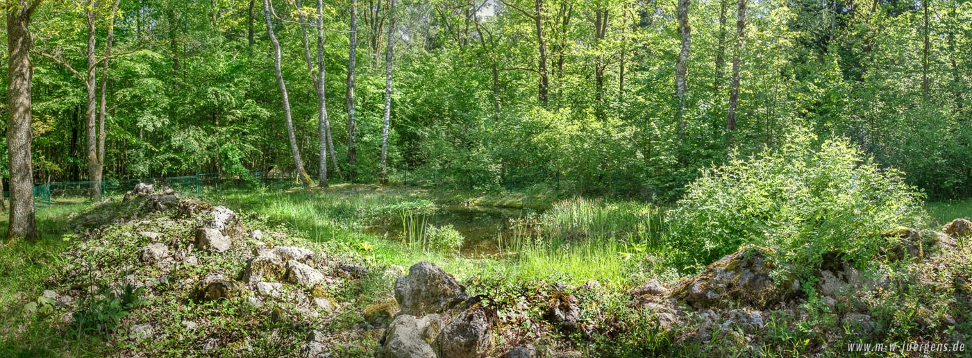 KfN München, Manfred W. Jürgens