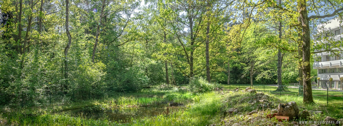 KfN München, Manfred W. Jürgens