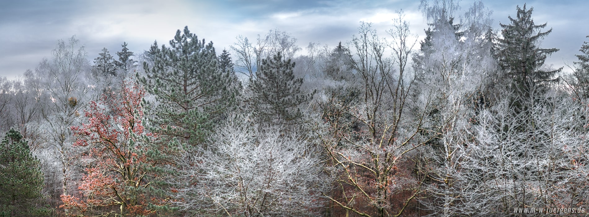 KfN München, Foto Manfred W. Jürgens