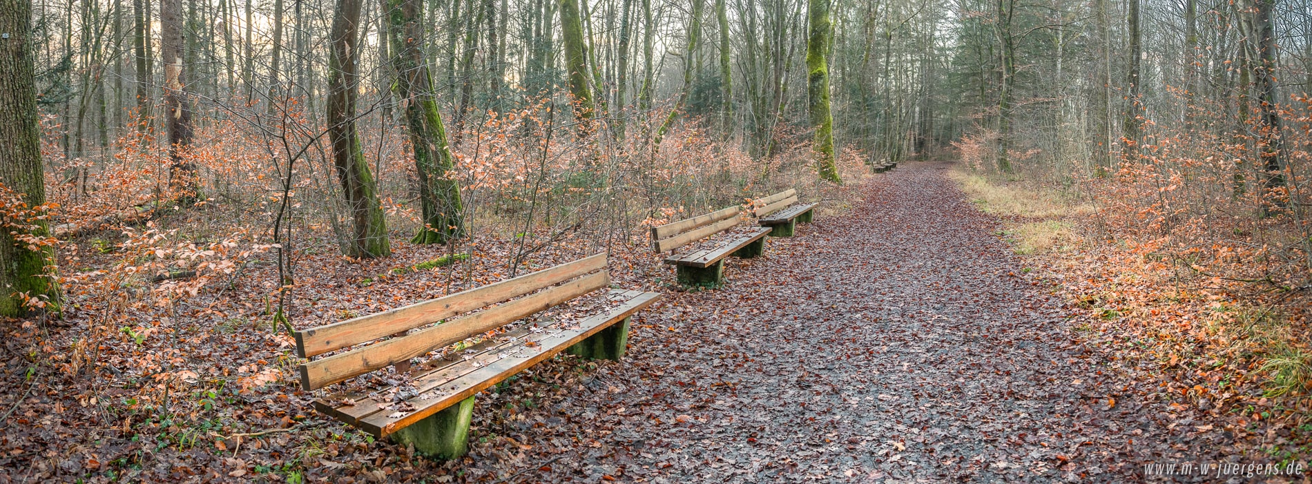 KfN München, Foto Manfred W. Jürgens