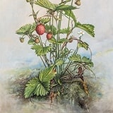 Realistische Malerei heute, Manfred W. Jürgens, Wismar, Galerien, Museen